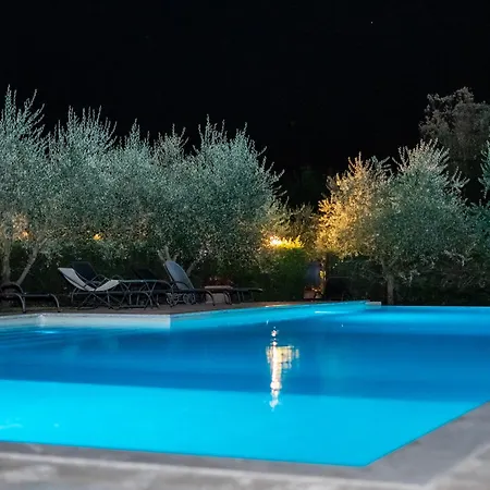 فندق & Dei Mosaici